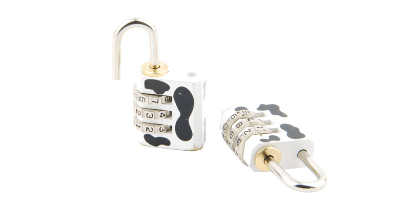 Padlocks image